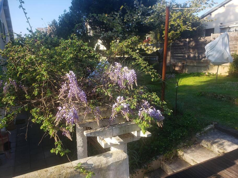 Studio Buena Vista Avec Terrasse Sur Jardin Брон Экстерьер фото